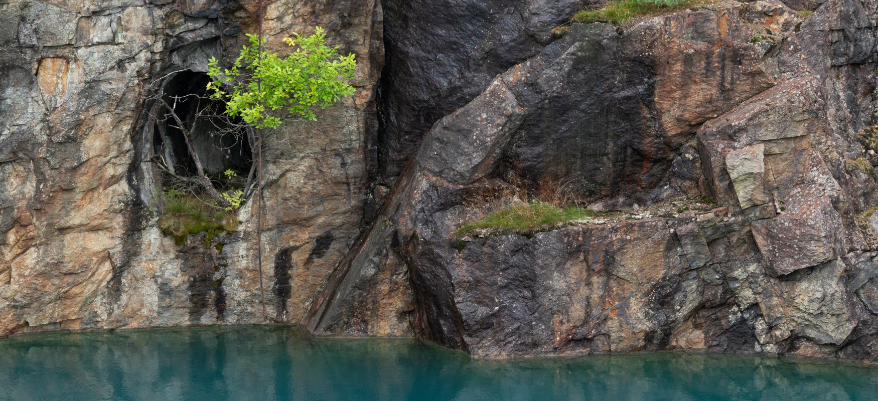 Cliff wall by blue water. Small tree growing from the wall.