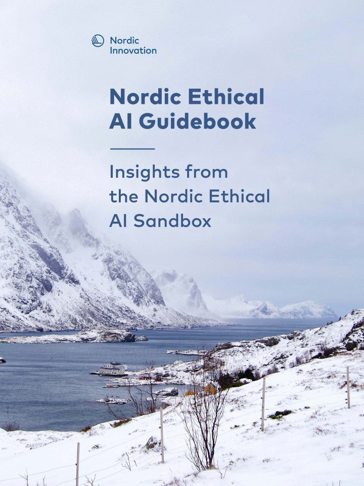 Fjord midt i sneklædt landskab