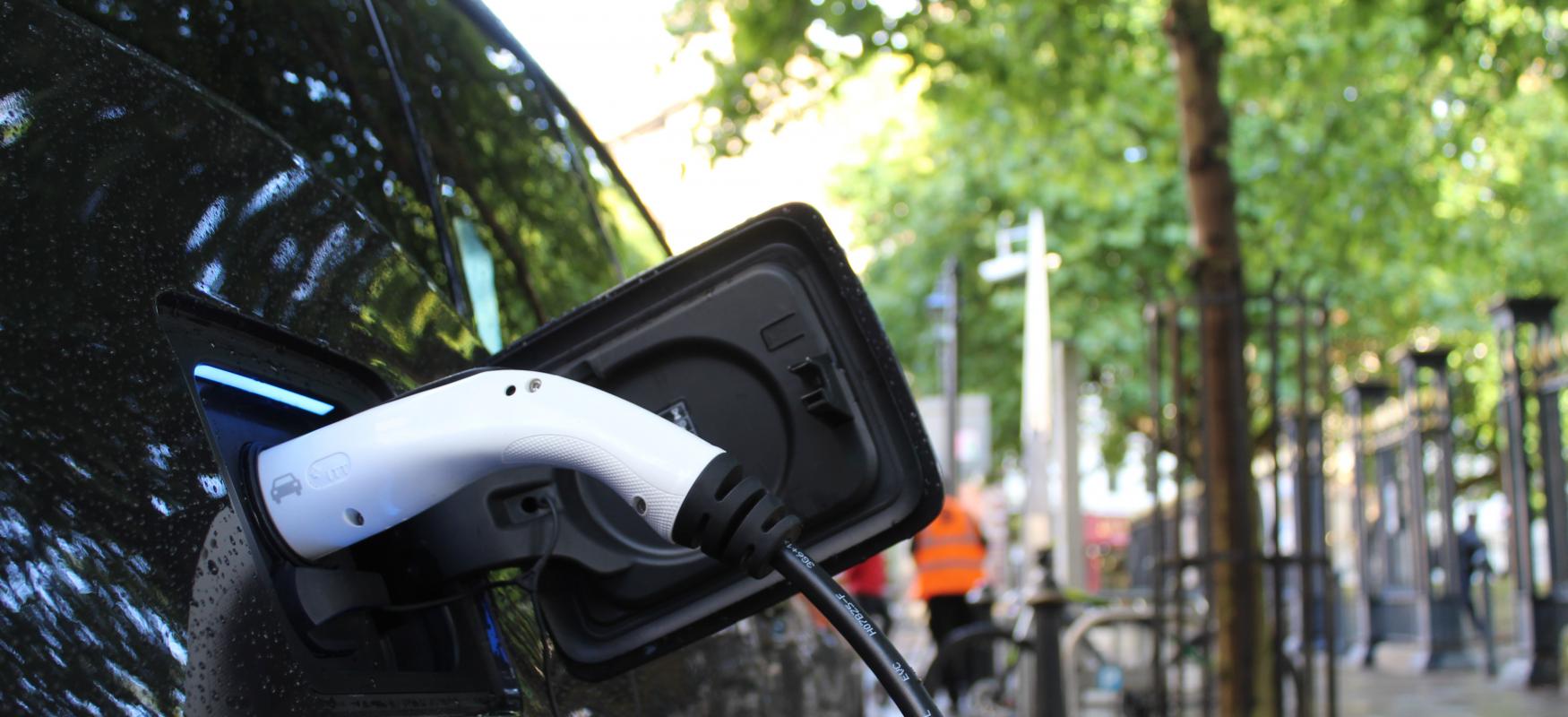 charger in an electric car, parked in the city with trees in the background