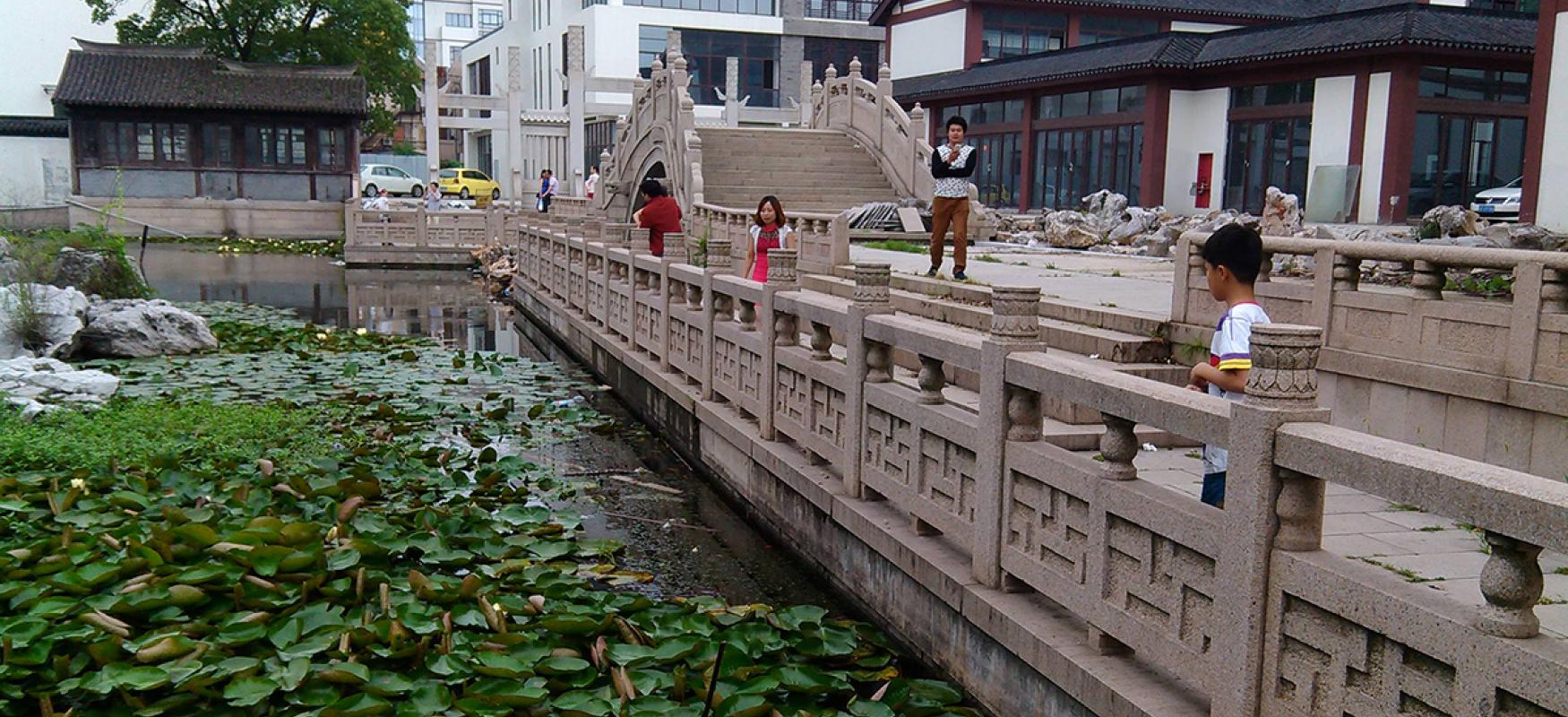 Some children and one adult look at green plants in the river in Changshu, China.