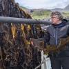 Man holding seakelp onboard a boat. Hoping to reduce cow farts.