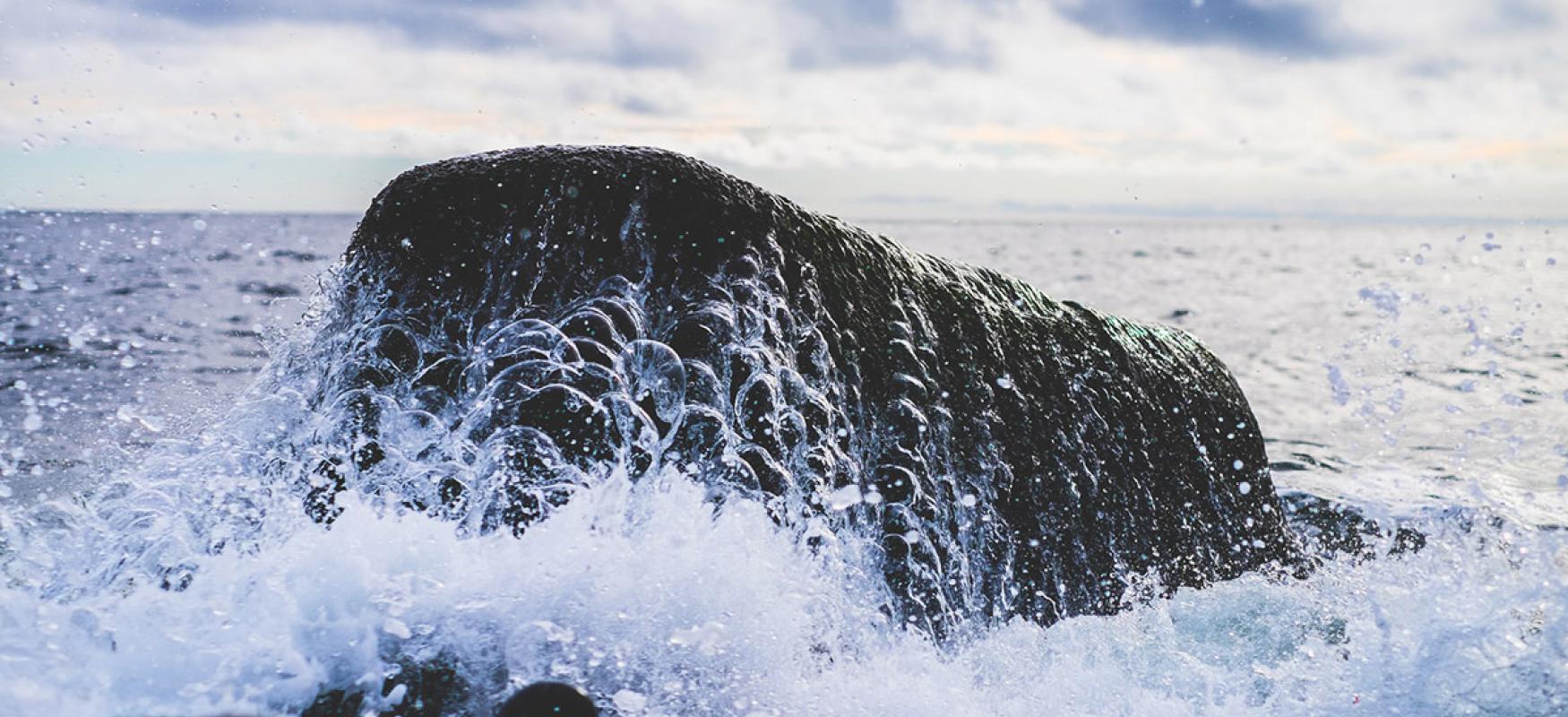 Ocean waves craching against a rock